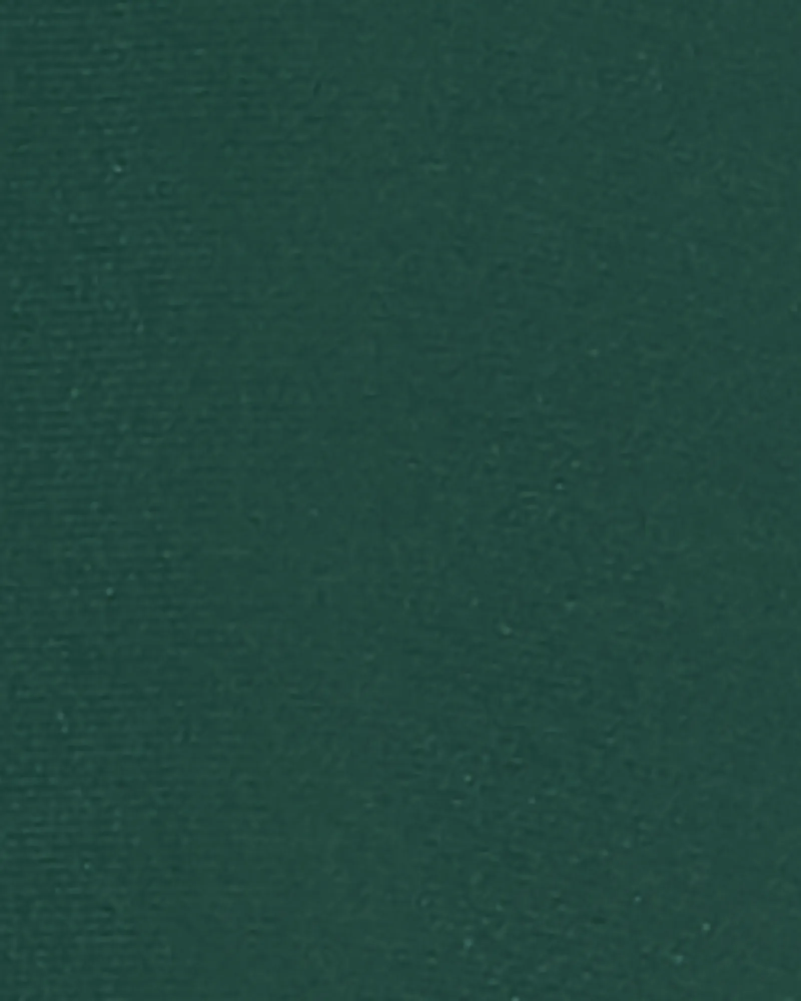 Nora Short Sleeve Embroidered Shoulder Top | Forest Green